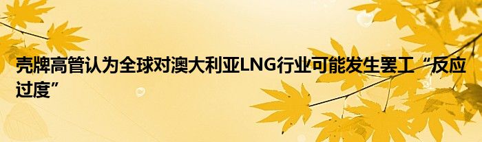 壳牌高管认为全球对澳大利亚LNG行业可能发生罢工“反应过度”