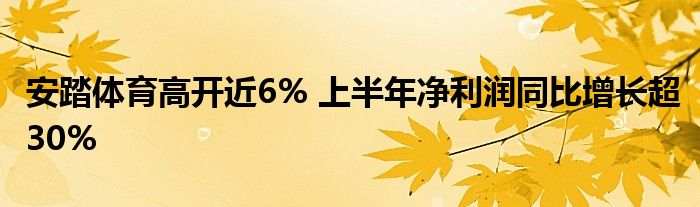 安踏体育高开近6% 上半年净利润同比增长超30%