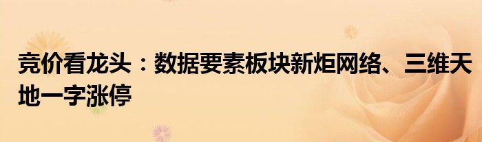 竞价看龙头:数据要素板块新炬网络、三维天地一字涨停