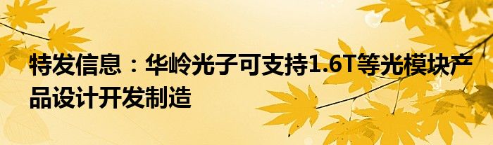 特发信息:华岭光子可支持1.6T等光模块产品设计开发制造