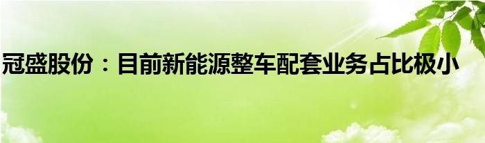 冠盛股份:目前新能源整车配套业务占比极小