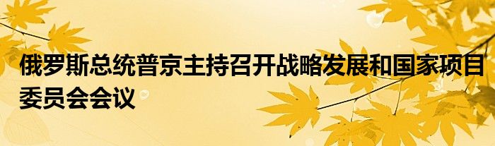 俄罗斯总统普京主持召开战略发展和国家项目委员会会议