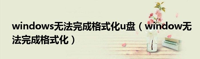 windows无法完成格式化u盘(window无法完成格式化)
