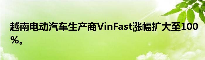 越南电动汽车生产商VinFast涨幅扩大至100%。