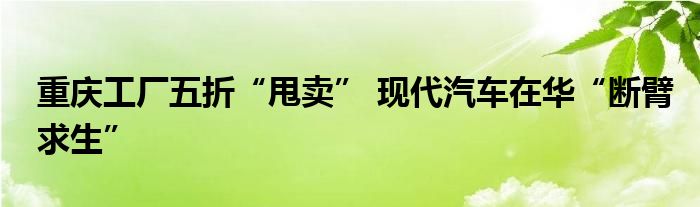 重庆工厂五折“甩卖” 现代汽车在华“断臂求生”