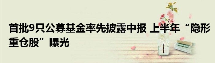 首批9只公募基金率先披露中报 上半年“隐形重仓股”曝光