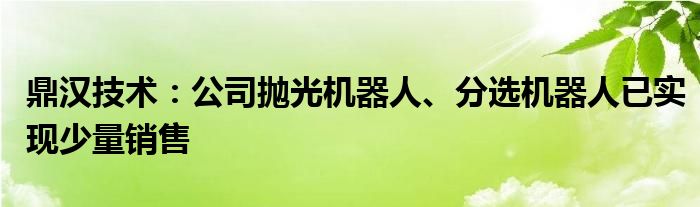 鼎汉技术：公司抛光机器人、分选机器人已实现少量销售