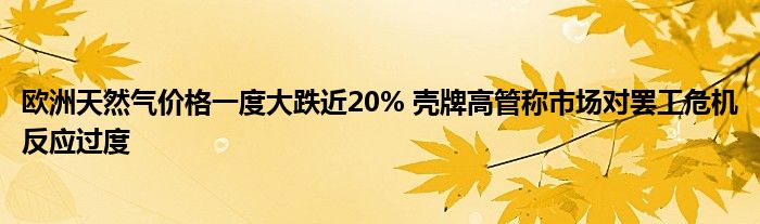 欧洲天然气价格一度大跌近20% 壳牌高管称市场对罢工危机反应过度