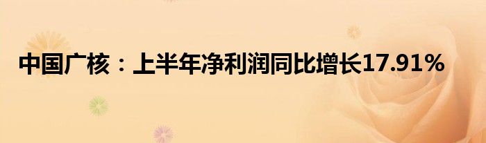 中国广核：上半年净利润同比增长17.91%