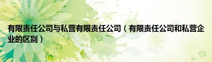 有限责任公司与私营有限责任公司(有限责任公司和私营企业的区别)