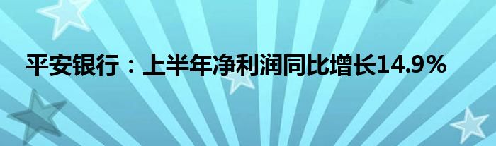 平安银行：上半年净利润同比增长14.9%