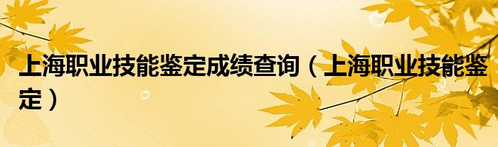 上海职业技能鉴定成绩查询(上海职业技能鉴定)