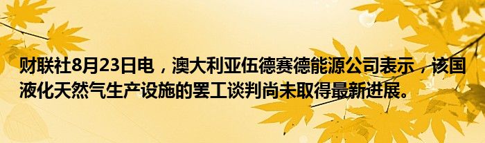 财联社8月23日电,澳大利亚伍德赛德能源公司表示,该国液化天然气生产设施的罢工谈判尚未取得最新进展。