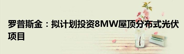 罗普斯金：拟计划投资8MW屋顶分布式光伏项目