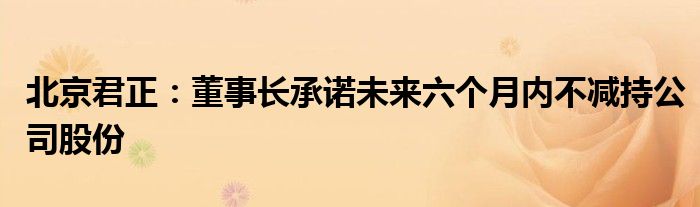 北京君正：董事长承诺未来六个月内不减持公司股份