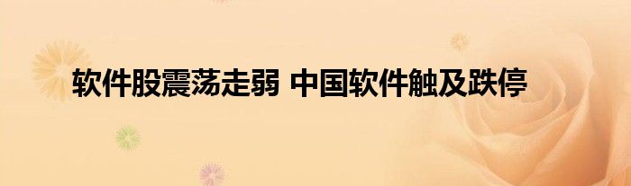 软件股震荡走弱 中国软件触及跌停