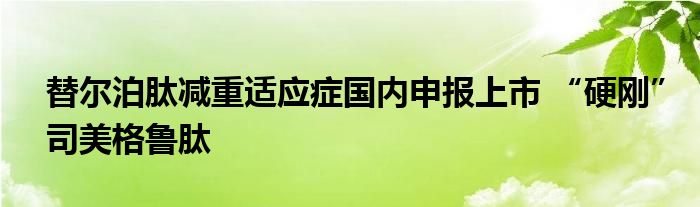 替尔泊肽减重适应症国内申报上市 “硬刚”司美格鲁肽