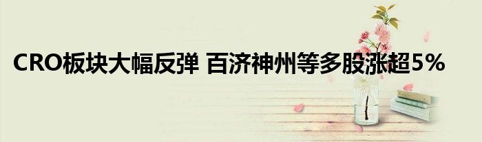 CRO板块大幅反弹 百济神州等多股涨超5%