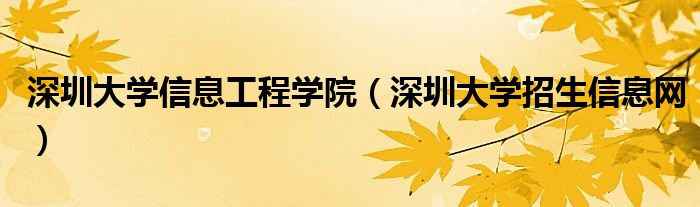 深圳大学信息工程学院(深圳大学招生信息网)