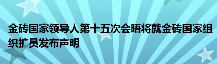 金砖国家领导人第十五次会晤将就金砖国家组织扩员发布声明