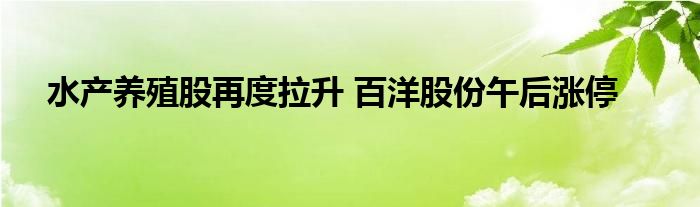 水产养殖股再度拉升 百洋股份午后涨停