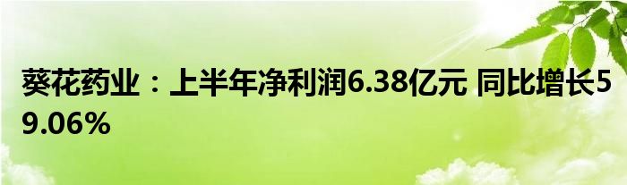 葵花药业:上半年净利润6.38亿元 同比增长59.06%