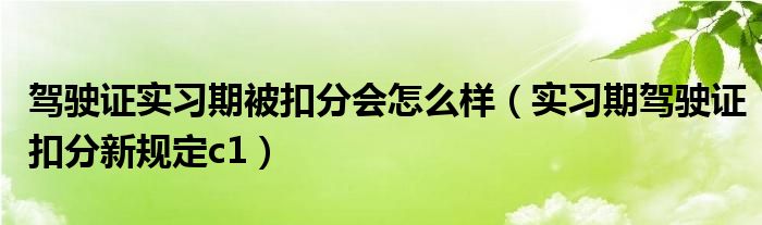驾驶证实习期被扣分会怎么样(实习期驾驶证扣分新规定c1)