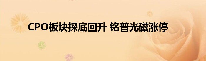 CPO板块探底回升 铭普光磁涨停