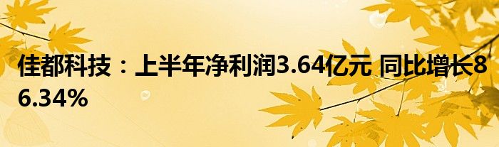 佳都科技:上半年净利润3.64亿元 同比增长86.34%