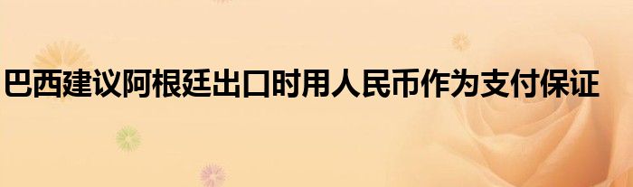巴西建议阿根廷出口时用人民币作为支付保证