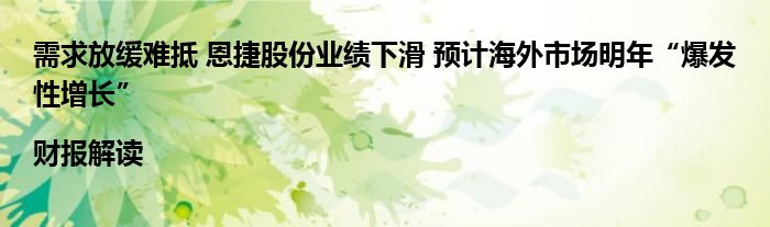 需求放缓难抵 恩捷股份业绩下滑 预计海外市场明年“爆发性增长”|财报解读