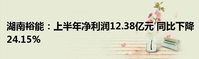 湖南裕能:上半年净利润12.38亿元 同比下降24.15%