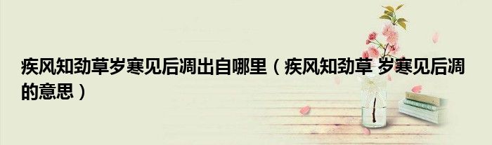 疾风知劲草岁寒见后凋出自哪里(疾风知劲草 岁寒见后凋 的意思)