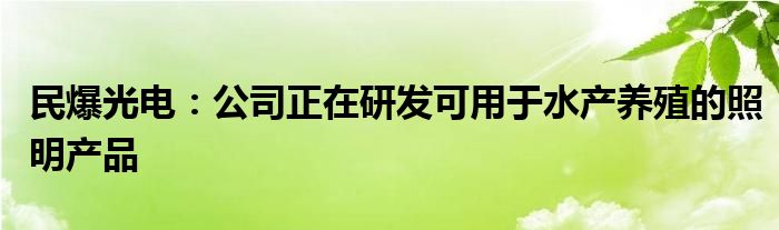 民爆光电：公司正在研发可用于水产养殖的照明产品