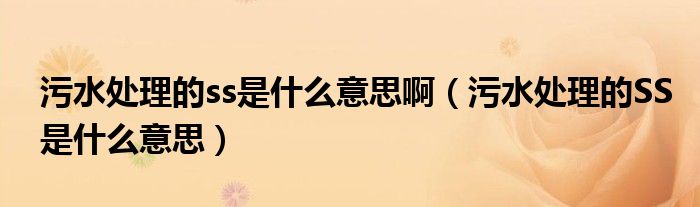 污水处理的ss是什么意思啊(污水处理的SS是什么意思)