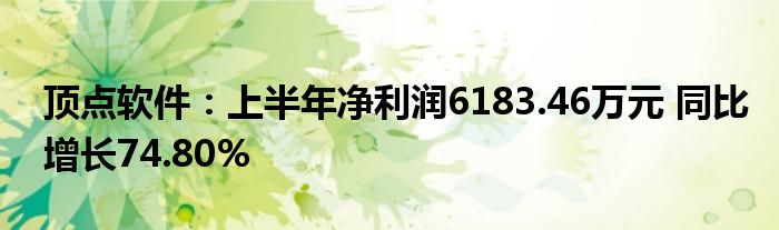顶点软件:上半年净利润6183.46万元 同比增长74.80%