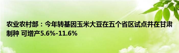 农业农村部:今年转基因玉米大豆在五个省区试点并在甘肃制种 可增产5.6%-11.6%