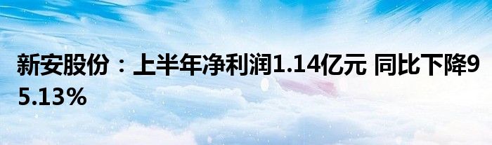 新安股份:上半年净利润1.14亿元 同比下降95.13%