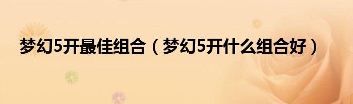梦幻5开最佳组合(梦幻5开什么组合好)