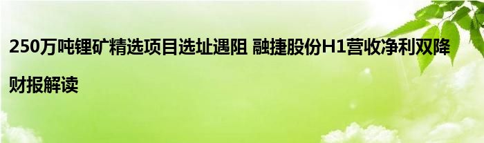250万吨锂矿精选项目选址遇阻 融捷股份H1营收净利双降|财报解读