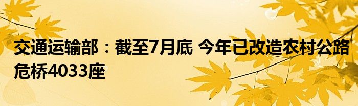 交通运输部:截至7月底 今年已改造农村公路危桥4033座