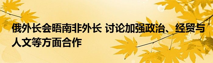 俄外长会晤南非外长 讨论加强政治、经贸与人文等方面合作