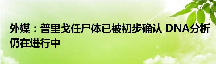 外媒:普里戈任尸体已被初步确认 DNA分析仍在进行中