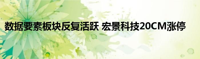 数据要素板块反复活跃 宏景科技20CM涨停