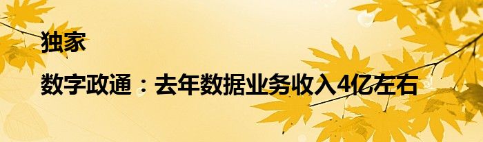 独家|数字政通:去年数据业务收入4亿左右