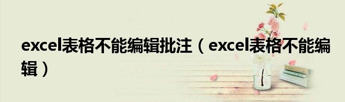 excel表格不能编辑批注（excel表格不能编辑）