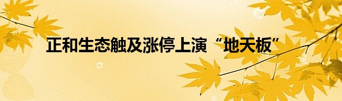 正和生态触及涨停上演“地天板”