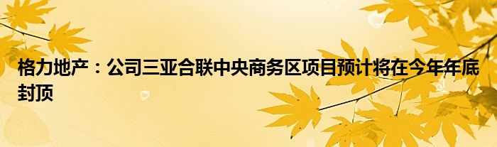 格力地产:公司三亚合联中央商务区项目预计将在今年年底封顶