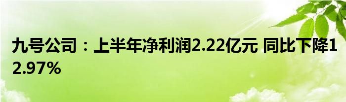 九号公司:上半年净利润2.22亿元 同比下降12.97%