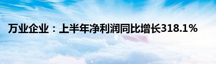万业企业:上半年净利润同比增长318.1%